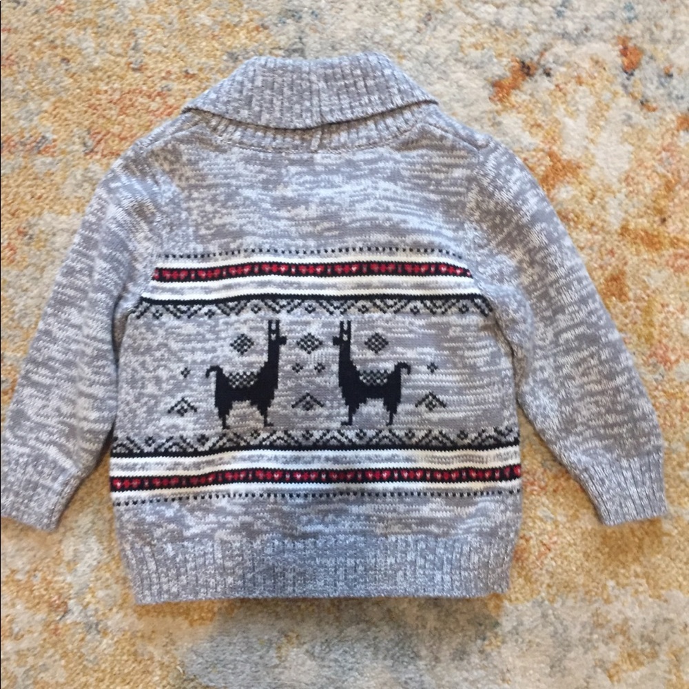 Cardigan sweater